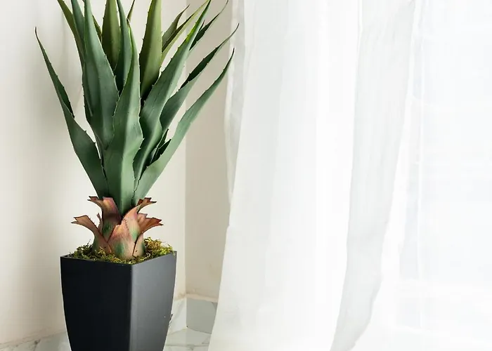 Crystal Haven Luxury By Binobi! アパート テッサロニキ